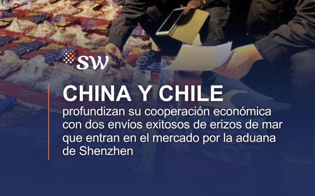 China y Chile profundizan su cooperación económica con dos envíos exitosos de erizos de mar que entran en el mercado por la aduana de Shenzhen